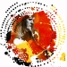 zellmer-neilyoung